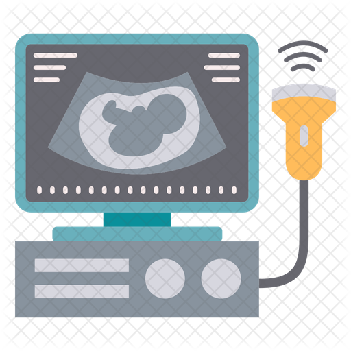 Ultrasonography Report Generator